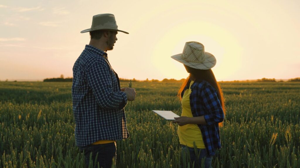 اتصل بنا - مهندسين غذائيين في حقل قمح