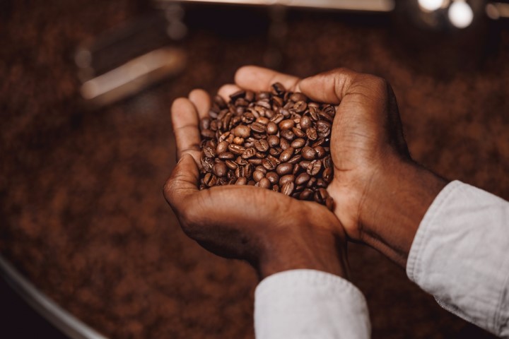 مصنع القهوة المطحونة في تركيا - بيلا تركي